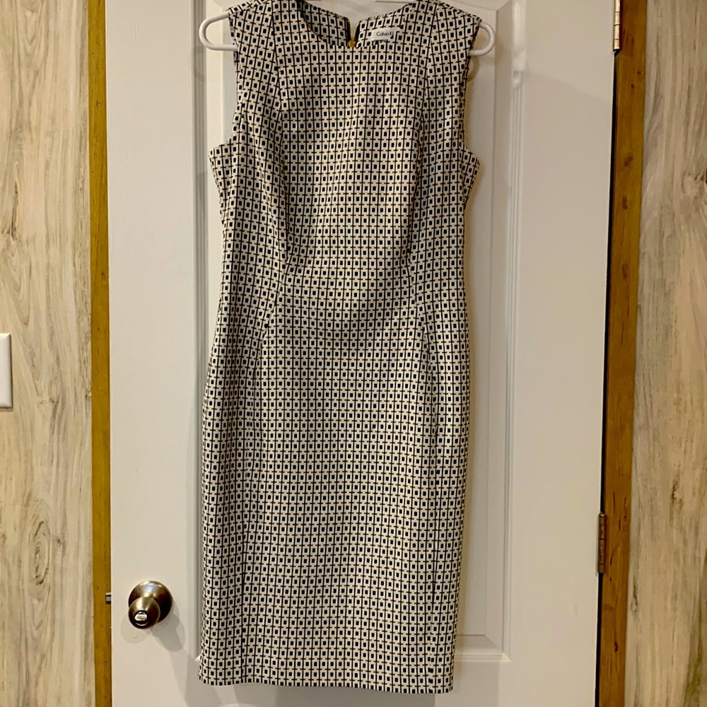 Calvin Klein Dress 6